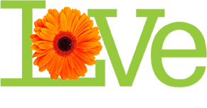Love Plumbing Air Electric Logo